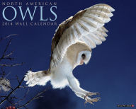 North American Owls 2014 Calendar