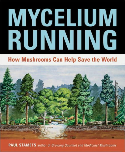 Mycelium Running: How Mushrooms Can Help Save the World