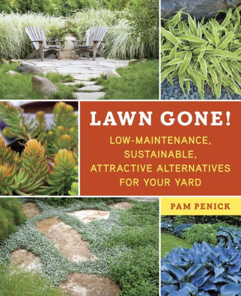 Lawn Gone!: Low-Maintenance, Sustainable, Attractive Alternatives for Your Yard