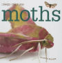 Moths (Creepy Creatures Series)