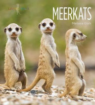 Title: Meerkats, Author: Melissa Gish