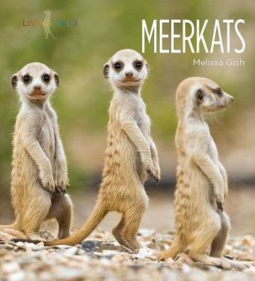 Meerkats