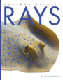 Rays (Amazing Animals Series)
