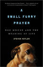 A Small Furry Prayer: Dog Rescue and the Meaning of Life