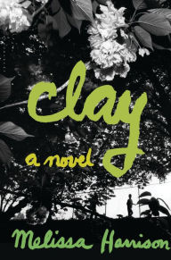 Clay: A Novel