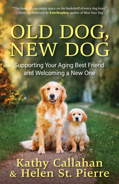 Old Dog, New Dog: Supporting Your Aging Best Friend and Welcoming a New One