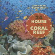 24 Hours on a Coral Reef