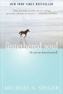 Alternative view 2 of The Untethered Soul: The Journey Beyond Yourself