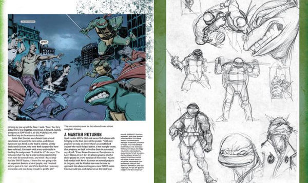 Teenage Mutant Ninja Turtles: The Ultimate Visual History