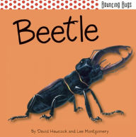 Beetle