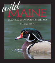 Title: Wild Maine: Discoveries of a Wildlife Photographer, Author: Bill Silliker Jr.