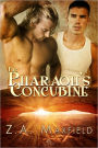 Pharaoh's Concubine