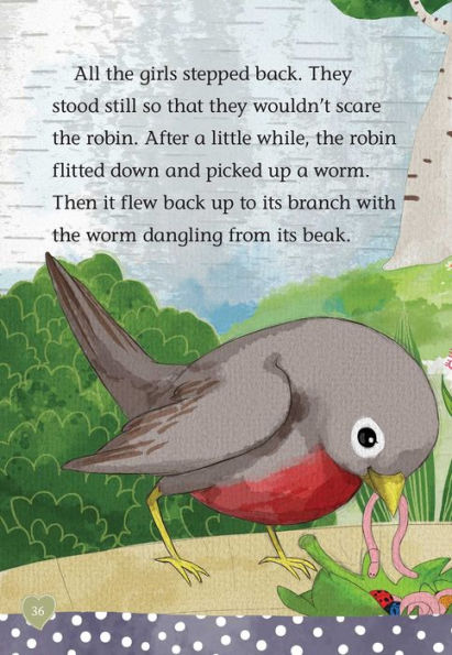 The Riddle of the Robin (Wellie Wishers Series)