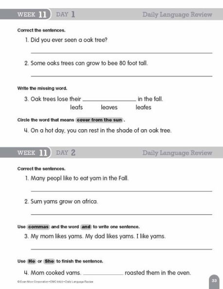 Daily Language Review, Grade 2 Student Edition Workbook