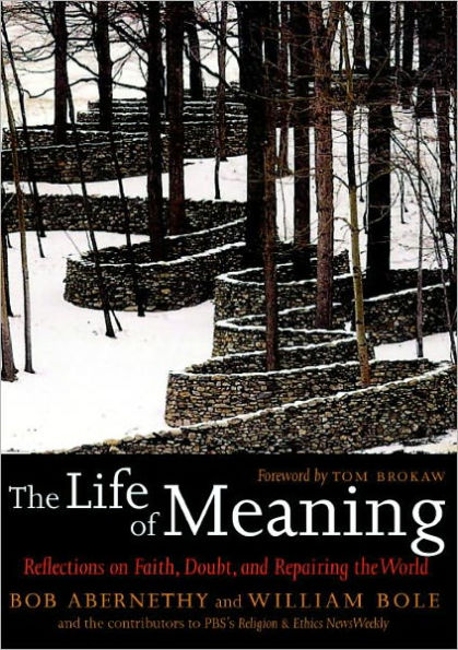 The Life of Meaning: Reflections on Faith, Doubt, and Repairing the World