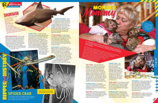 Alternative view 6 of Ripley's Believe It Or Not! A Century Of Strange!