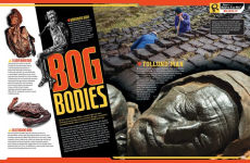 Alternative view 2 of Ripley's Believe It or Not! Beyond the Bizarre