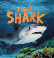 Tiger Shark