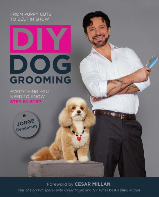 DIY Dog Grooming, From Puppy Cuts to Best in Show Everything You Need