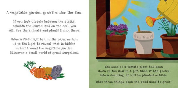 Secrets of the Vegetable Garden (Shine-a-Light Series)