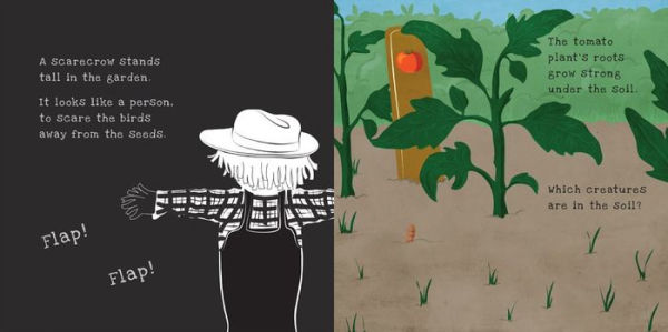 Secrets of the Vegetable Garden (Shine-a-Light Series)