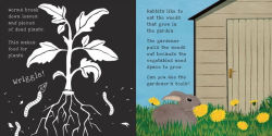 Alternative view 5 of Secrets of the Vegetable Garden (Shine-a-Light Series)