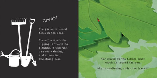 Secrets of the Vegetable Garden (Shine-a-Light Series)