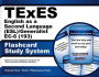 TExES (193) English as a Second Language (ESL)/Generalist EC-6 Exam Flashcard Study System