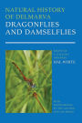 Natural History of Delmarva Dragonflies and Damselflies