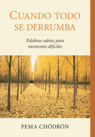 Title: Cuando todo se derrumba (When Things Fall Apart): Palabras sabias para momentos dificiles, Author: Pema Chodron