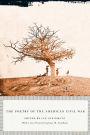 The Poetry of the American Civil War