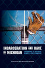 Incarceration and Race in Michigan: Grounding the National Debate in State Practice