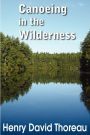 Canoeing in the Wilderness