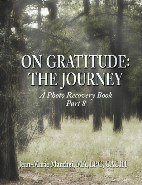 On Gratitude: The Journey: A Photo Recovery Book Part 8