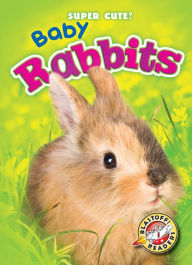 Title: Baby Rabbits, Author: Bethany Olson