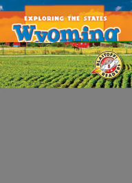 Title: Wisconsin, Author: Amy Rechner