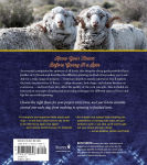 Alternative view 6 of The Spinner's Book of Fleece: A Breed-by-Breed Guide to Choosing and Spinning the Perfect Fiber for Every Purpose
