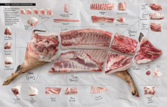Alternative view 14 of Butchering Poultry, Rabbit, Lamb, Goat, and Pork: The Comprehensive Photographic Guide to Humane Slaughtering and Butchering