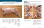 Alternative view 15 of Butchering Poultry, Rabbit, Lamb, Goat, and Pork: The Comprehensive Photographic Guide to Humane Slaughtering and Butchering