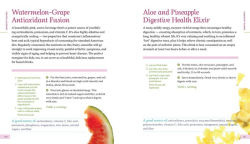 Alternative view 7 of Raw Energy in a Glass: 126 Nutrition-Packed Smoothies, Green Drinks, and Other Satisfying Raw Beverages to Boost Your Well-Being