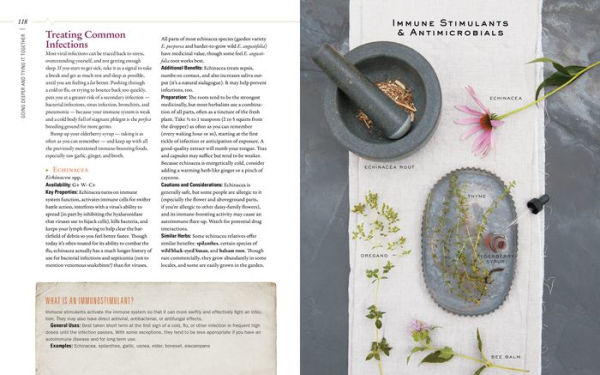 Body into Balance: An Herbal Guide to Holistic Self-Care