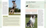 Alternative view 12 of Farm Dogs: A Comprehensive Breed Guide to 93 Guardians, Herders, Terriers, and Other Canine Working Partners