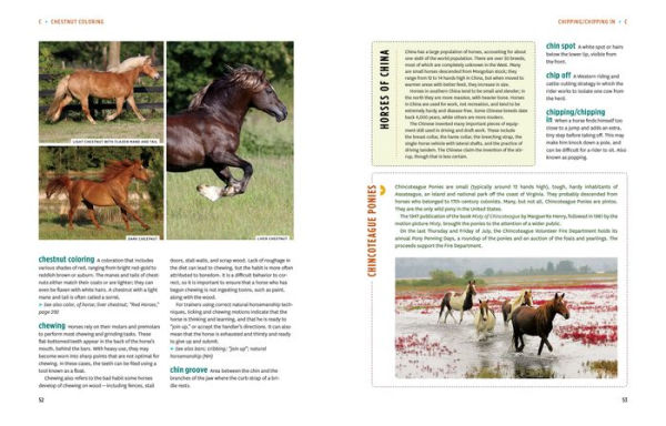 The Horse-Lover's Encyclopedia, 2nd Edition: A-Z Guide to All Things Equine: Barrel Racing, Breeds, Cinch, Cowboy Curtain, Dressage, Driving, Foaling, Gaits, Legging Up, Mustang, Piebald, Reining, Snaffle Bits, Steeple-Chasing, Tail Braiding, Trail Riding