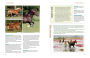 Alternative view 9 of The Horse-Lover's Encyclopedia, 2nd Edition: A-Z Guide to All Things Equine: Barrel Racing, Breeds, Cinch, Cowboy Curtain, Dressage, Driving, Foaling, Gaits, Legging Up, Mustang, Piebald, Reining, Snaffle Bits, Steeple-Chasing, Tail Braiding, Trail Riding