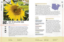Alternative view 11 of 100 Plants to Feed the Bees: Provide a Healthy Habitat to Help Pollinators Thrive