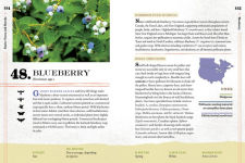 Alternative view 12 of 100 Plants to Feed the Bees: Provide a Healthy Habitat to Help Pollinators Thrive