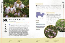 Alternative view 14 of 100 Plants to Feed the Bees: Provide a Healthy Habitat to Help Pollinators Thrive
