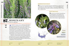 Alternative view 15 of 100 Plants to Feed the Bees: Provide a Healthy Habitat to Help Pollinators Thrive