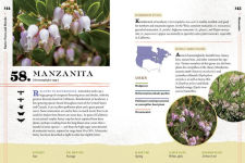 Alternative view 8 of 100 Plants to Feed the Bees: Provide a Healthy Habitat to Help Pollinators Thrive