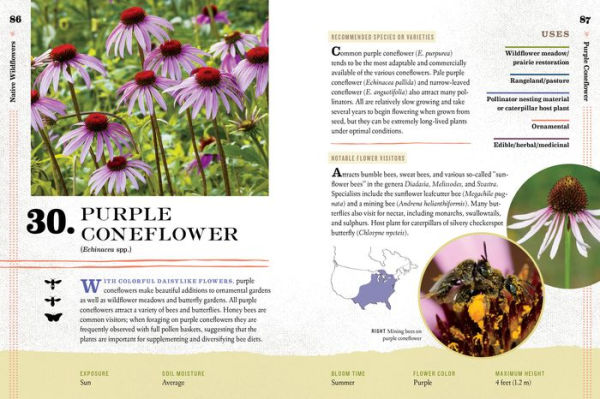 100 Plants to Feed the Bees: Provide a Healthy Habitat to Help Pollinators Thrive